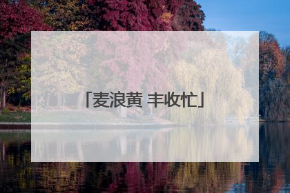 麦浪黄 丰收忙